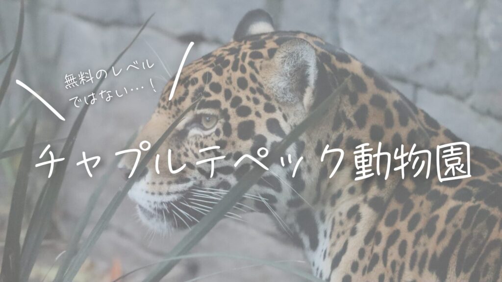 無料のレベルではない…！チャプルテペック動物園
