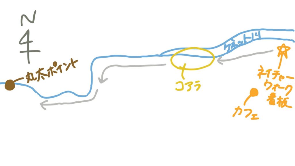 コアラを見つけた場所