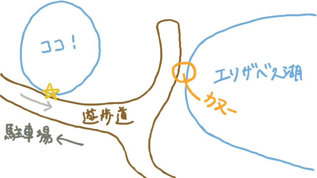 私たちがカモノハシを見た場所