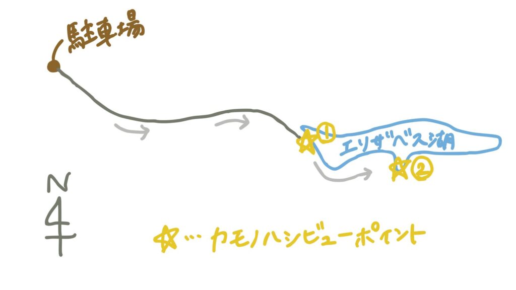 エリザベス湖のカモノハシビューポイント