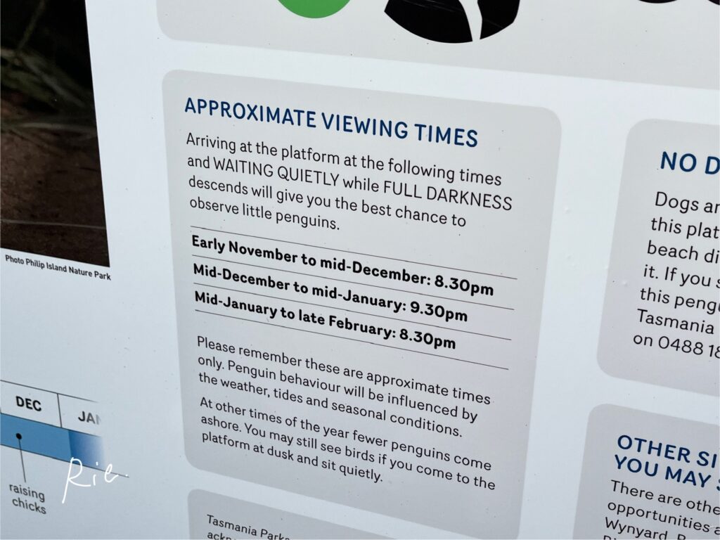 ペンギンが見られる目安の時間