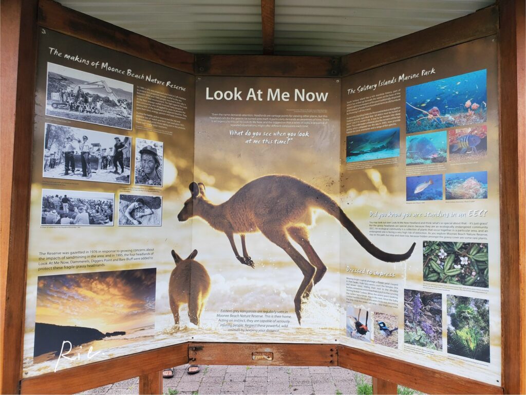 Look At Me Now Headlandの看板