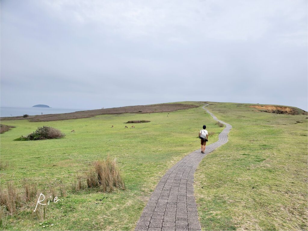 見晴らしのいいエリア