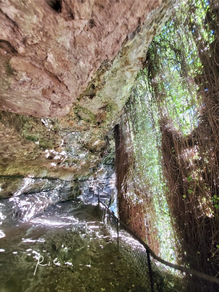 シンクホール内の小道