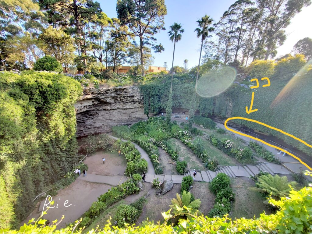 ポッサムがよくいる場所