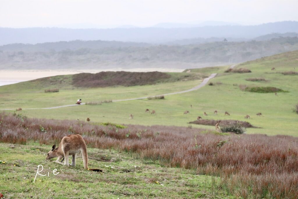 岬の先端付近から全体を見渡す景色