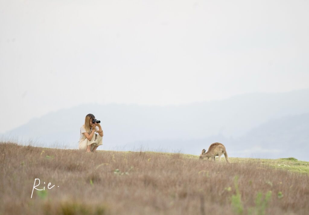 カンガルーと撮影している私