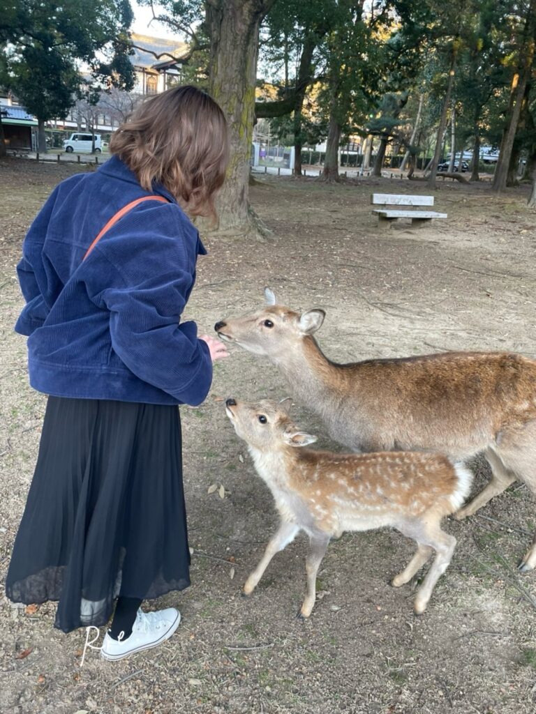 鹿せんべいを求める親子
