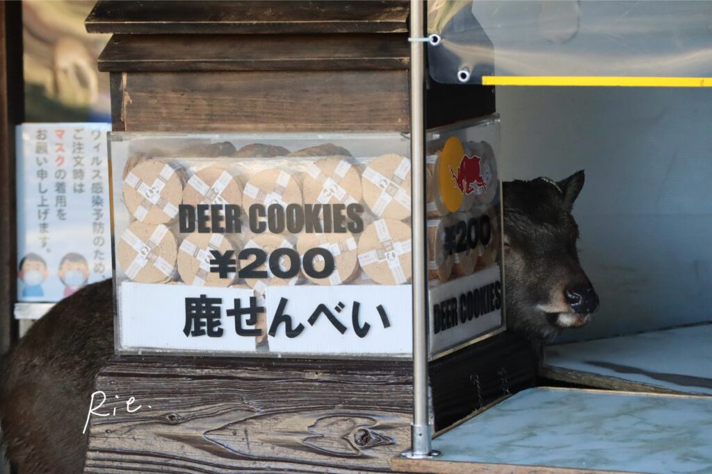 鹿せんべい売り場