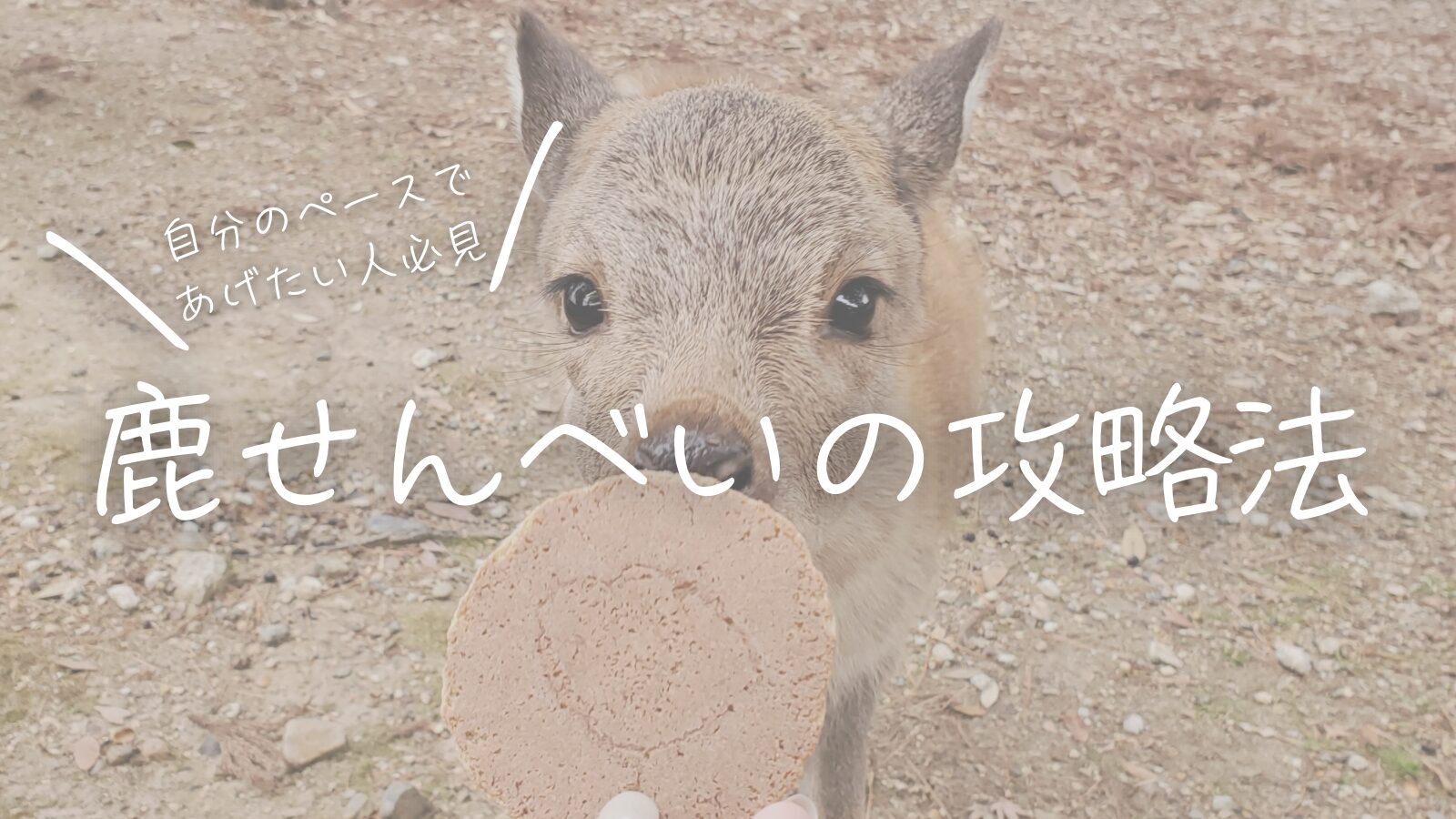 自分のペースであげたい人必見！鹿せんべいの攻略法