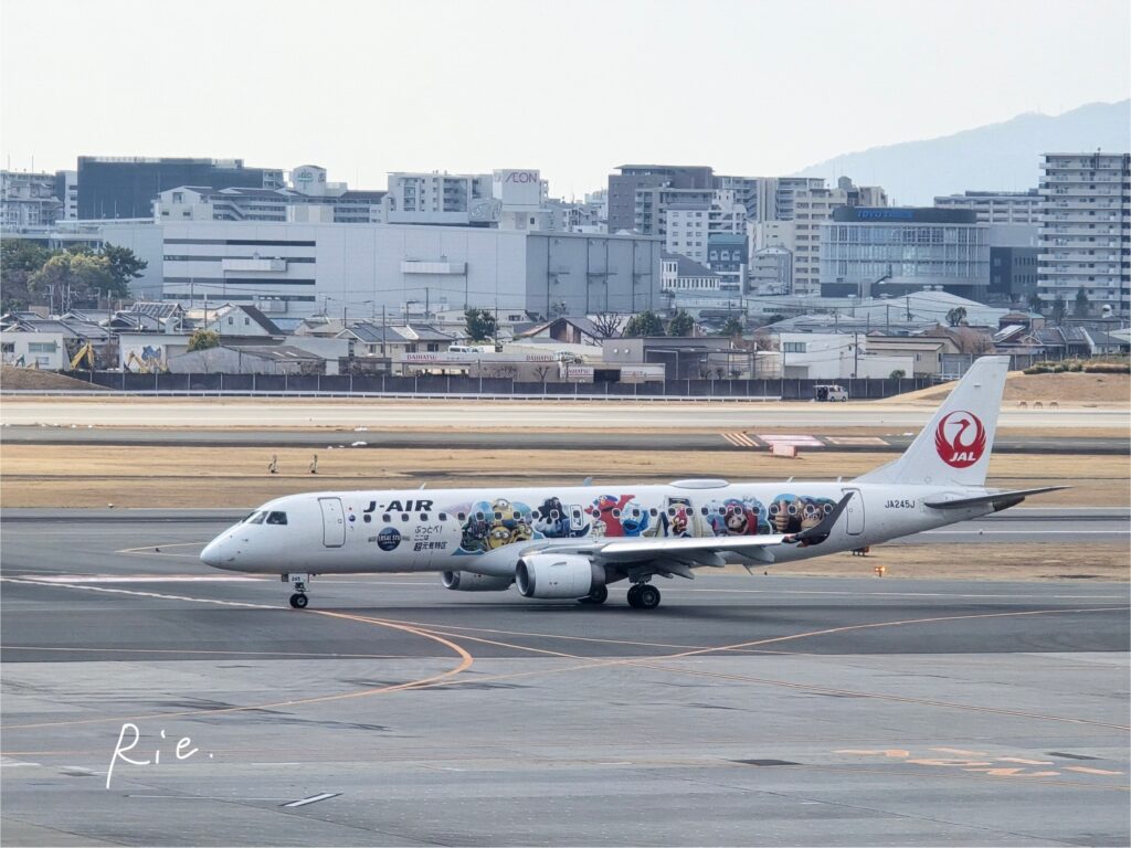 ユニバデザインの飛行機