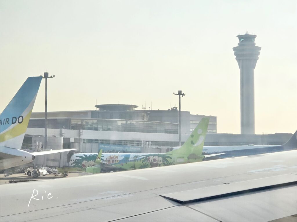 ポケモン飛行機