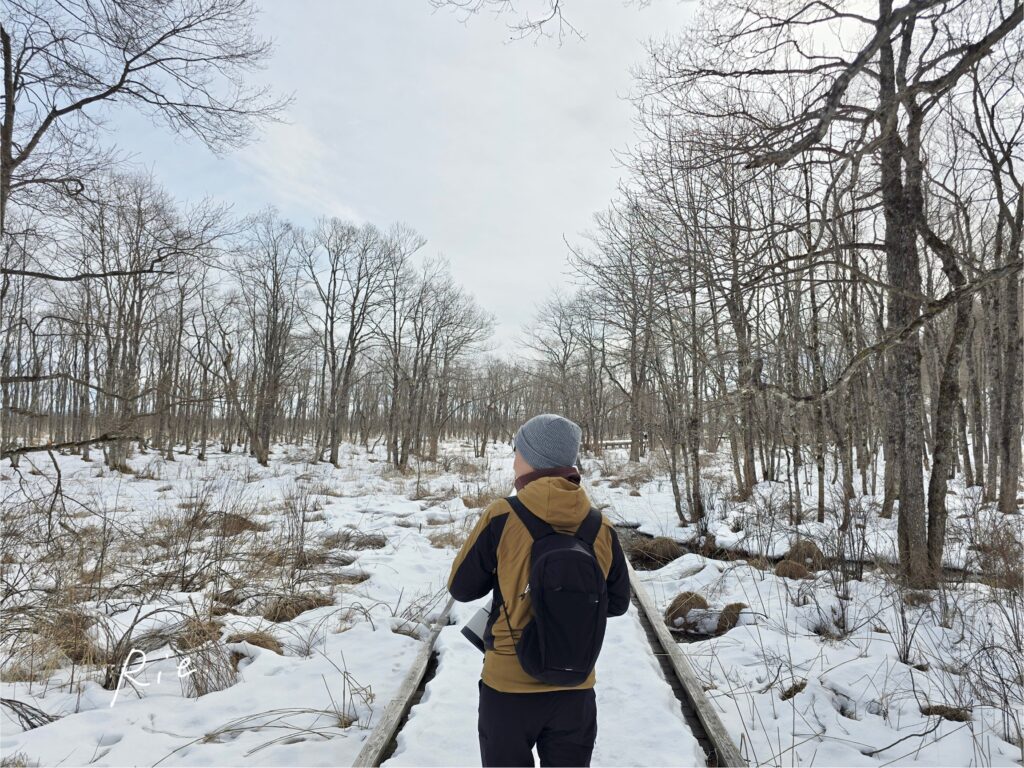 温根内木道を散策開始