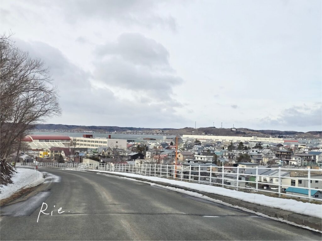 愛冠岬からの帰り道の景色