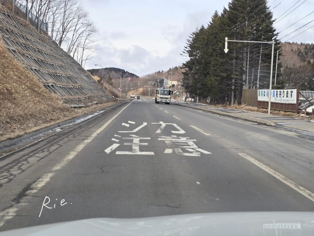 道路に書かれた「シカ注意」表記