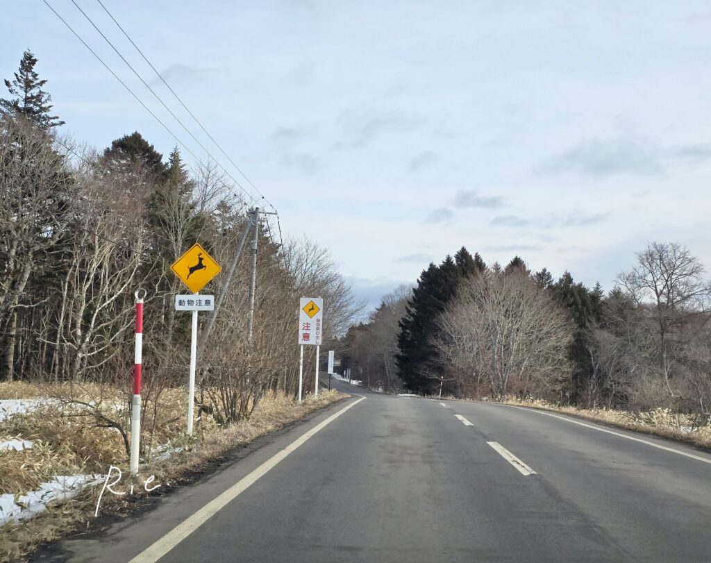 ダブル鹿注意看板