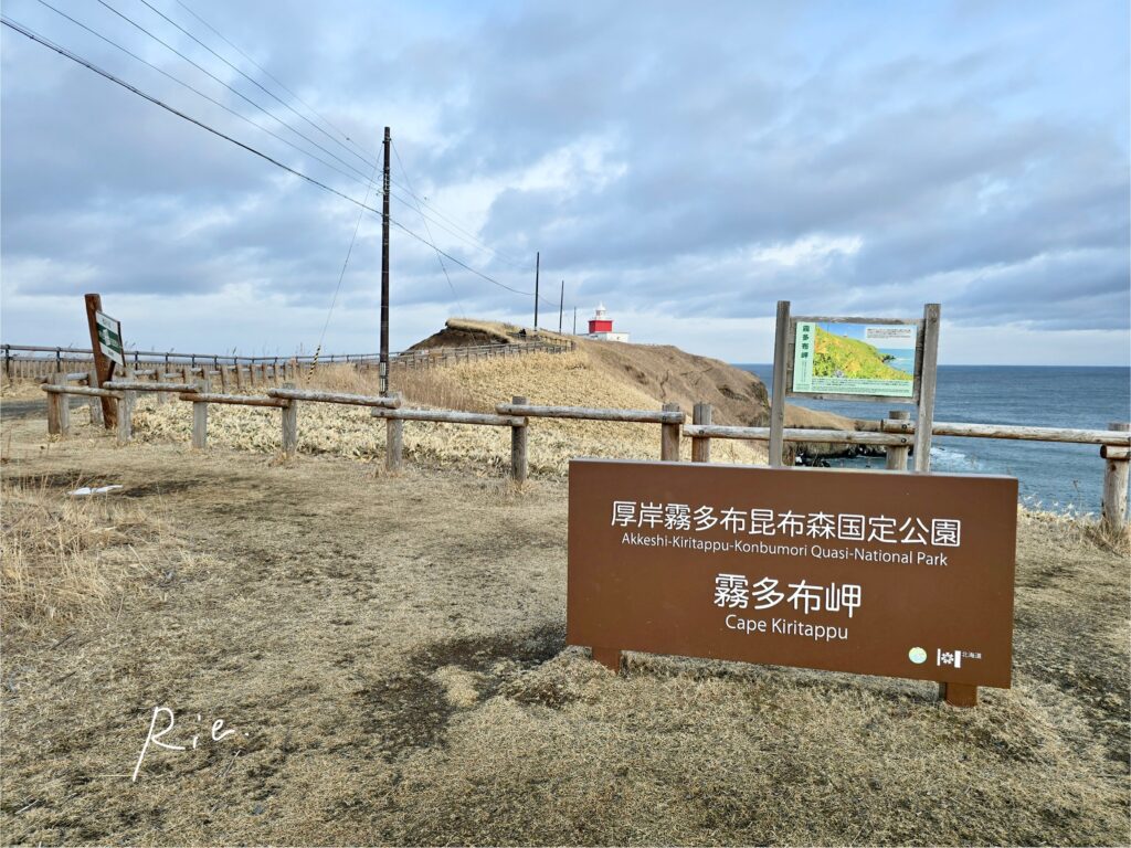 霧多布岬