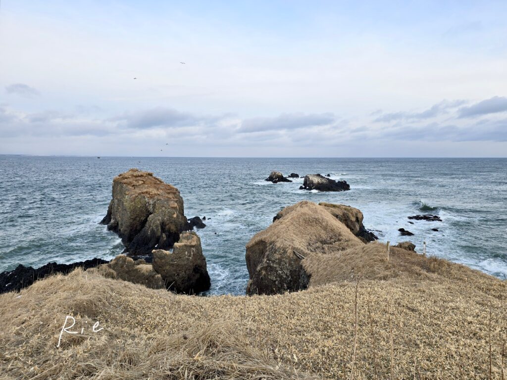 霧多布岬の先端