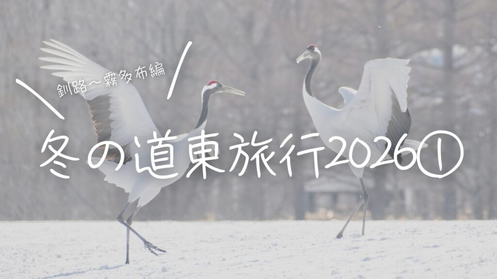 冬の道東旅行2026①釧路〜霧多布編