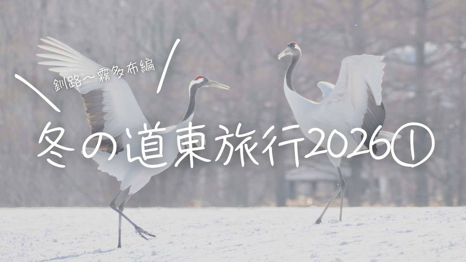 冬の道東旅行2026①釧路〜霧多布編