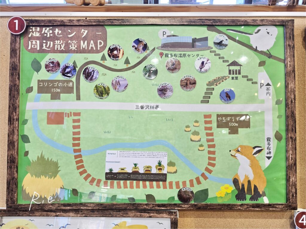 霧多布湿原センター付近の散策マップ