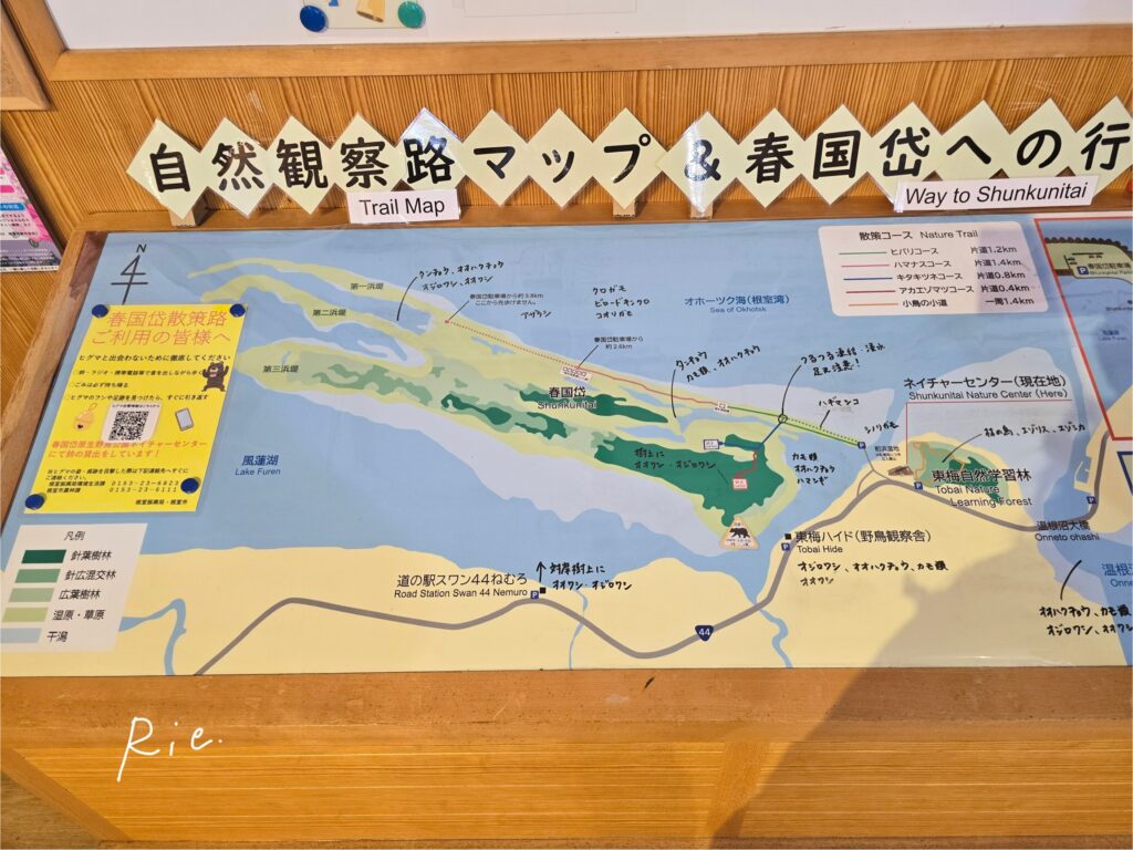 公園の散策コースマップ