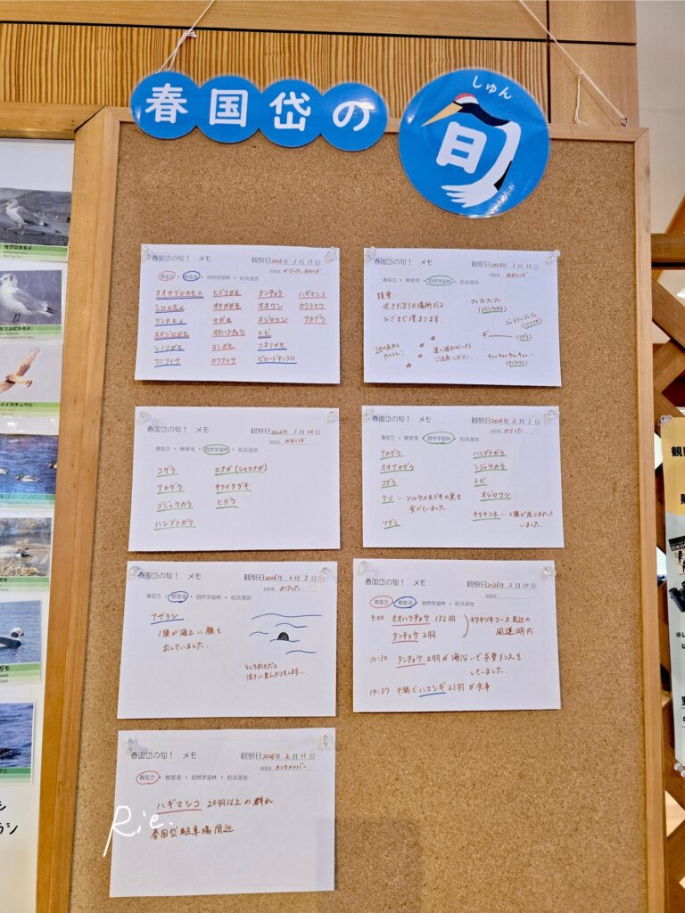 直近の目撃情報