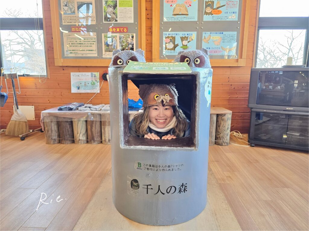 シマフクロウになろうのコーナー