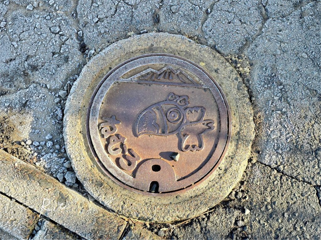 根室のマンホール