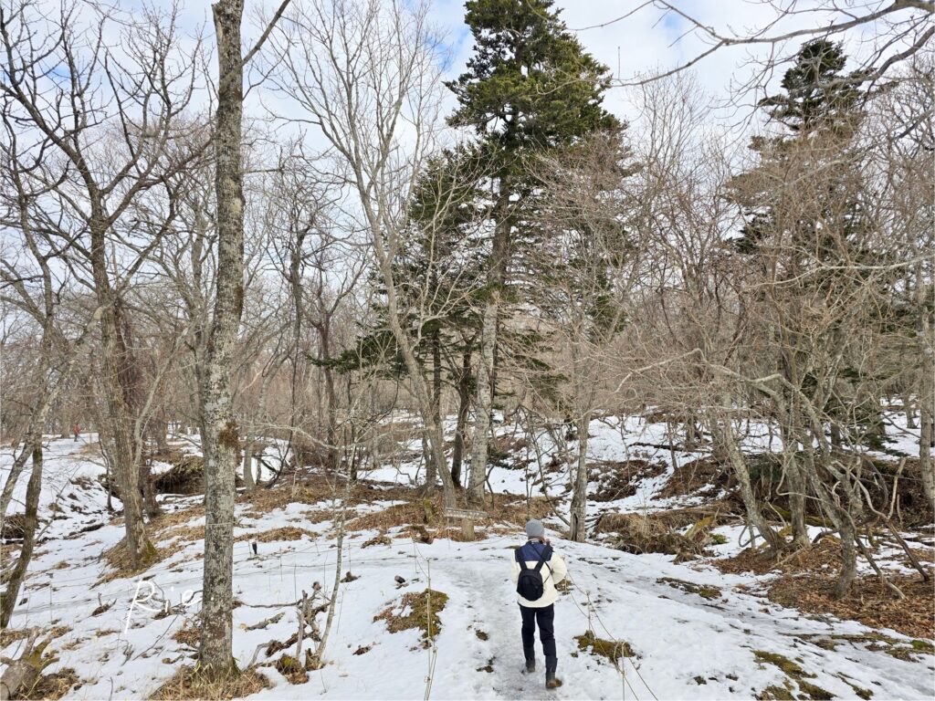 小鳥の小道を散策開始