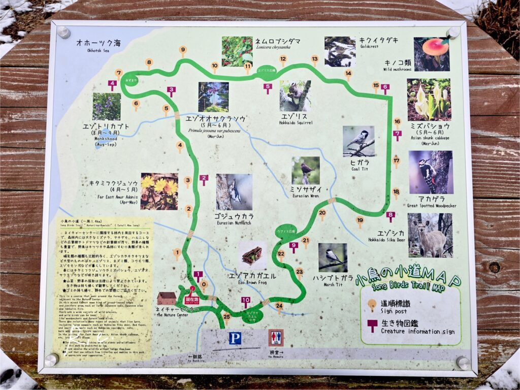 小鳥の小道のマップ