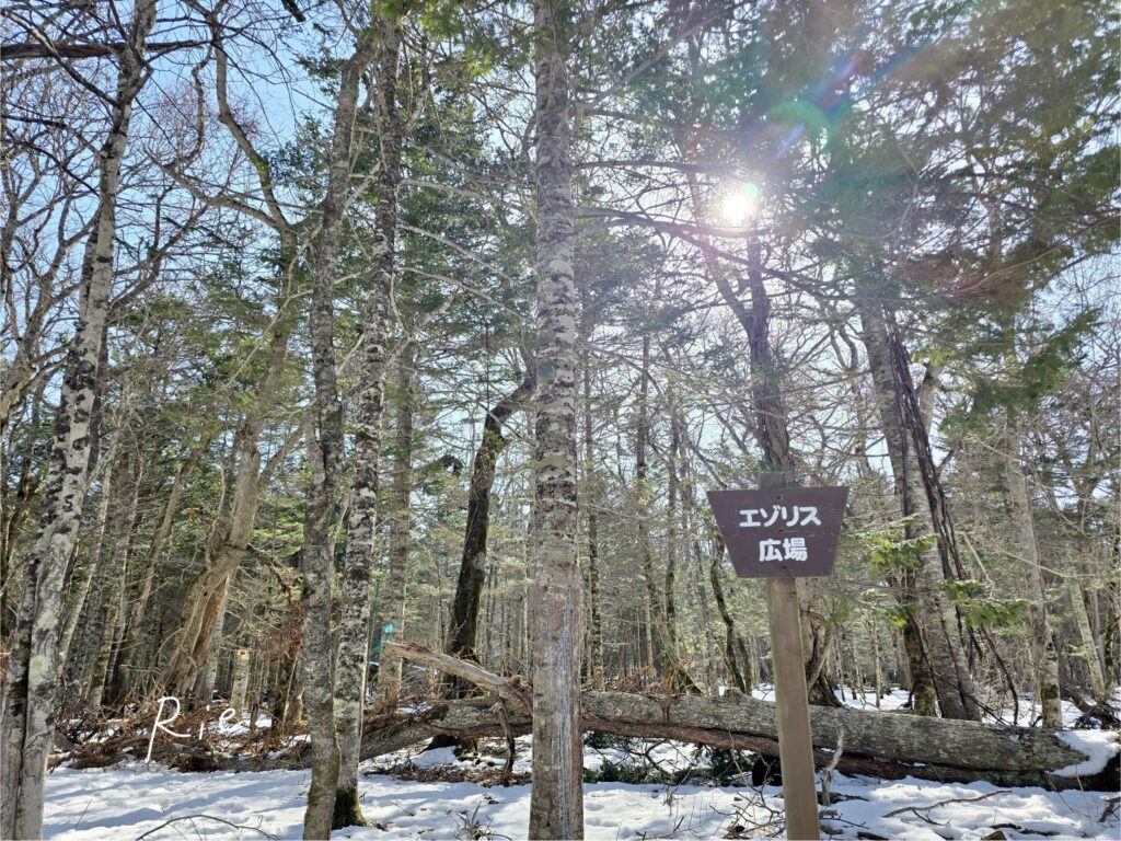 エゾリス広場