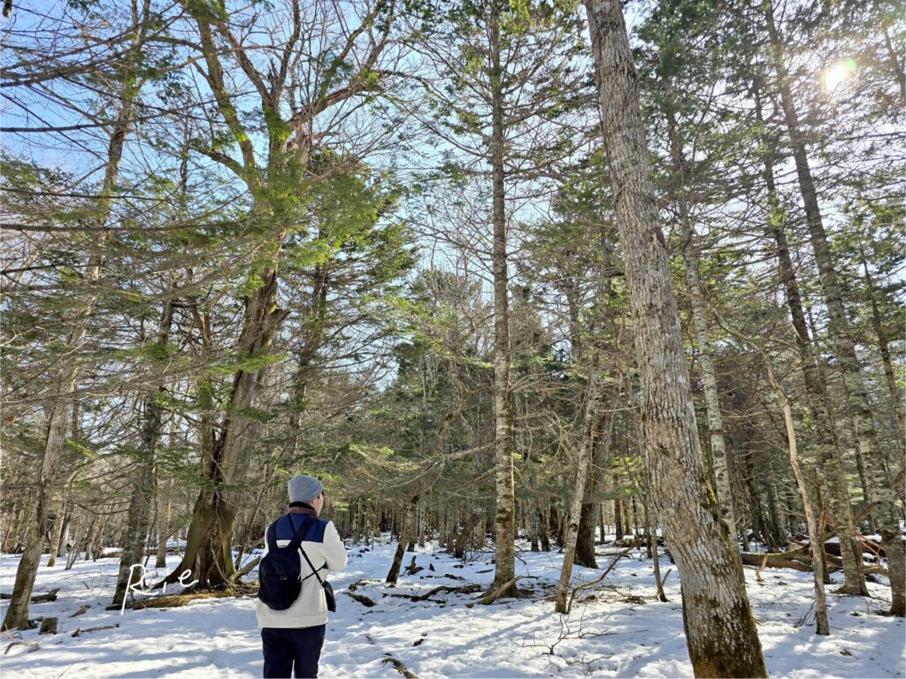 エゾリス広場を散策中
