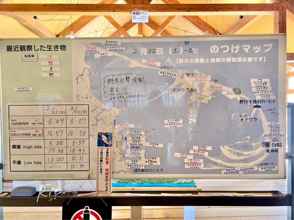 野付半島でその日見られた動物