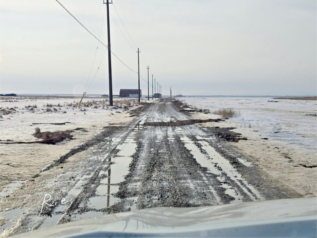 通行禁止区域の道路の様子