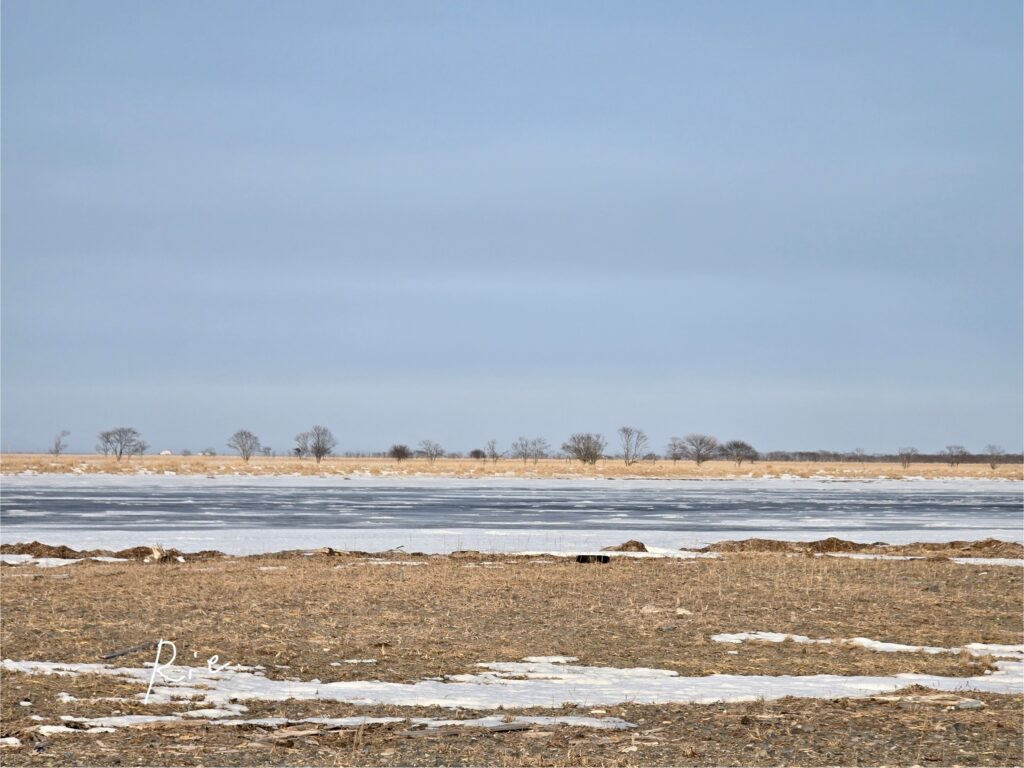 野付半島の景色