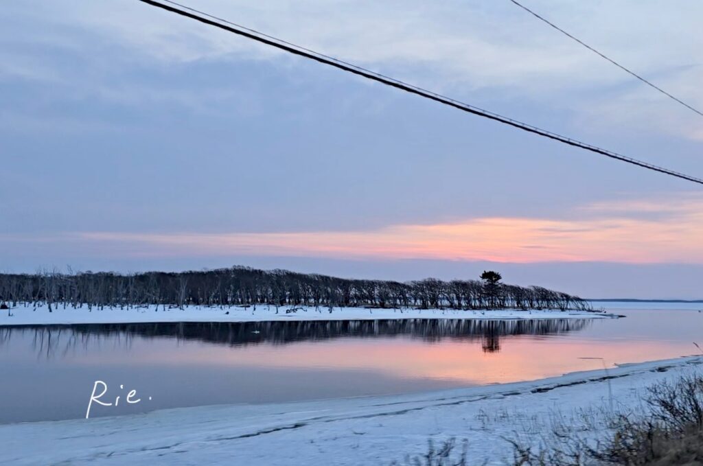 きれいだった風景