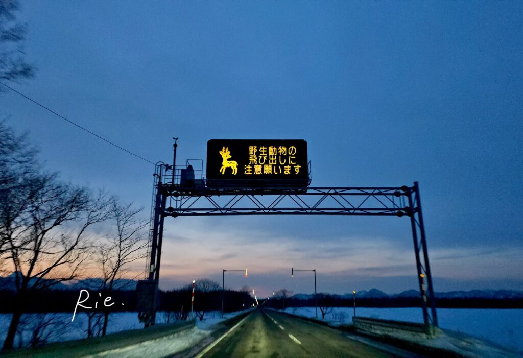 野生動物注意の電光掲示板