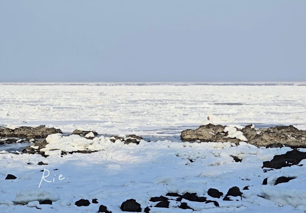 流氷