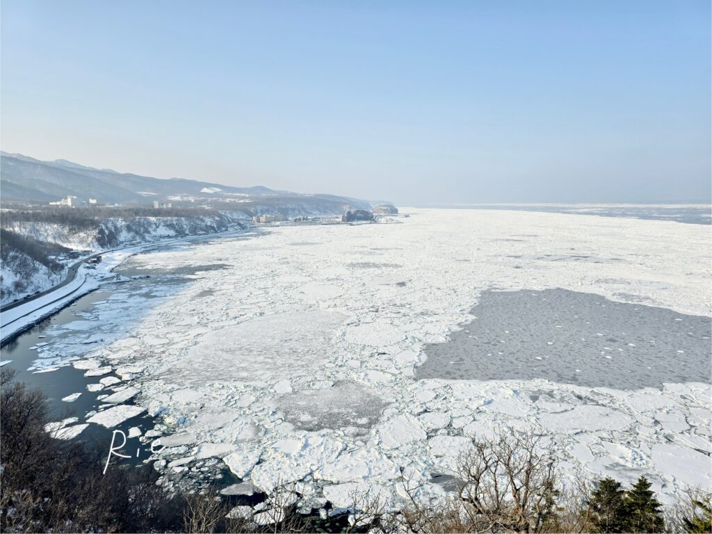 プユニ岬展望台から見た流氷