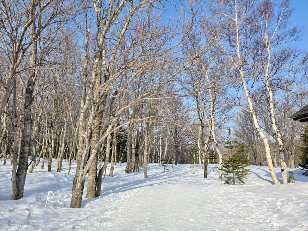 フレペの滝遊歩道
