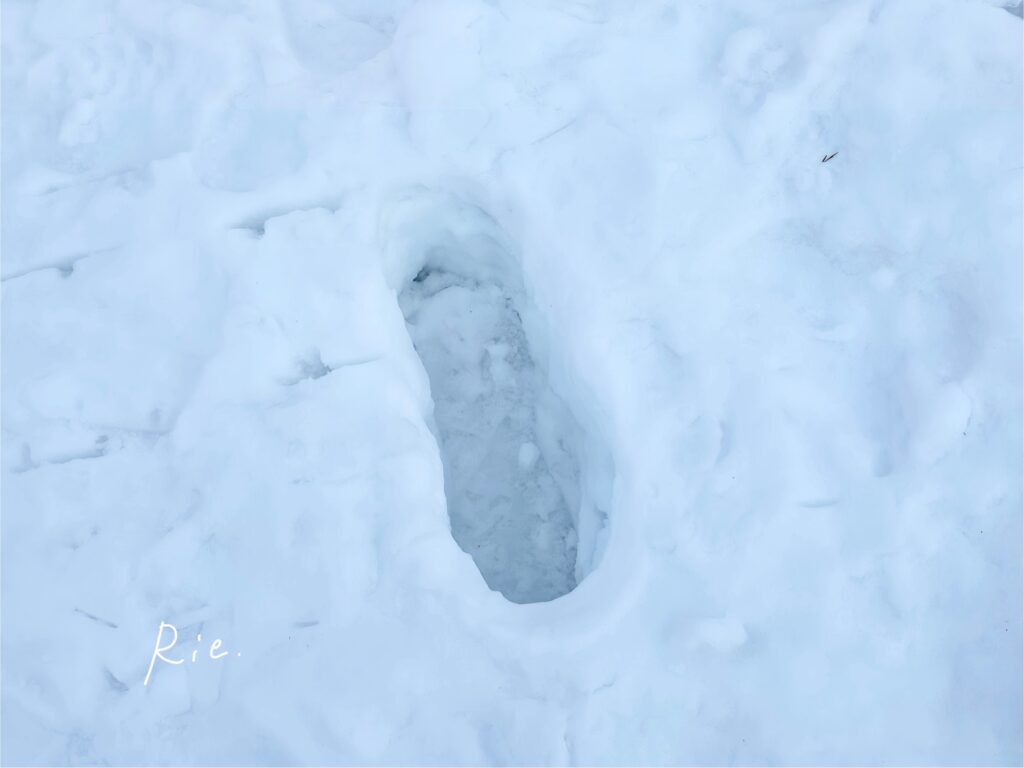 雪に深く足がはまった足跡