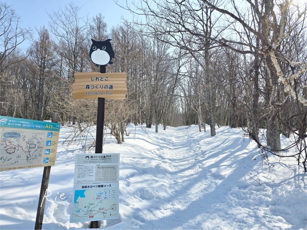 森づくりの道の入り口