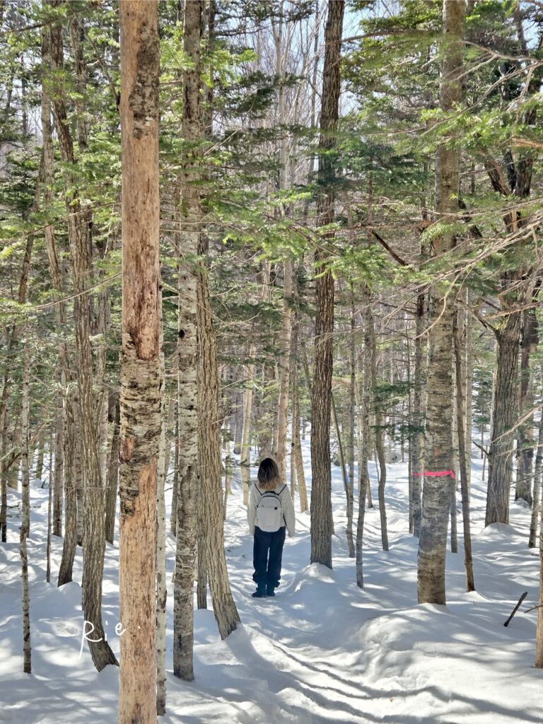 坂道を下っている様子