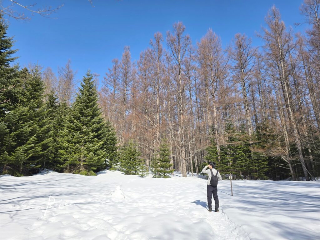 冬の森コースの平地エリア