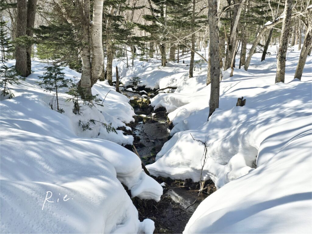 途中に流れていた川