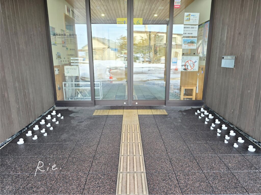 建物の入り口に並ぶアヒルたち