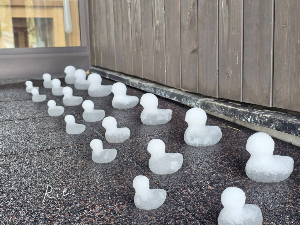 雪で作られたアヒルたち
