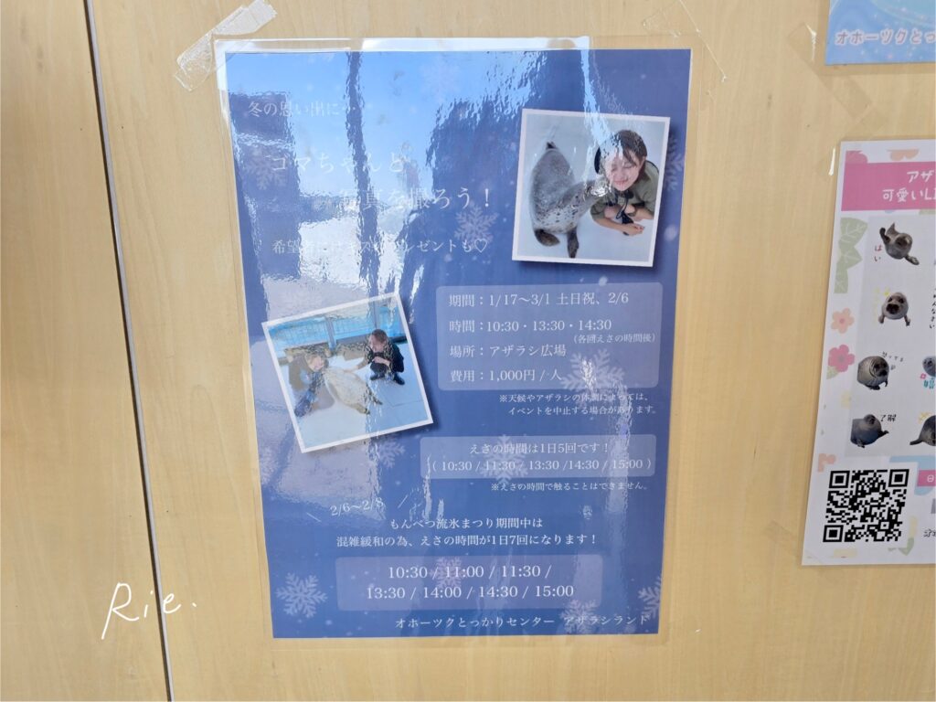 アザラシランドで開催中のイベント