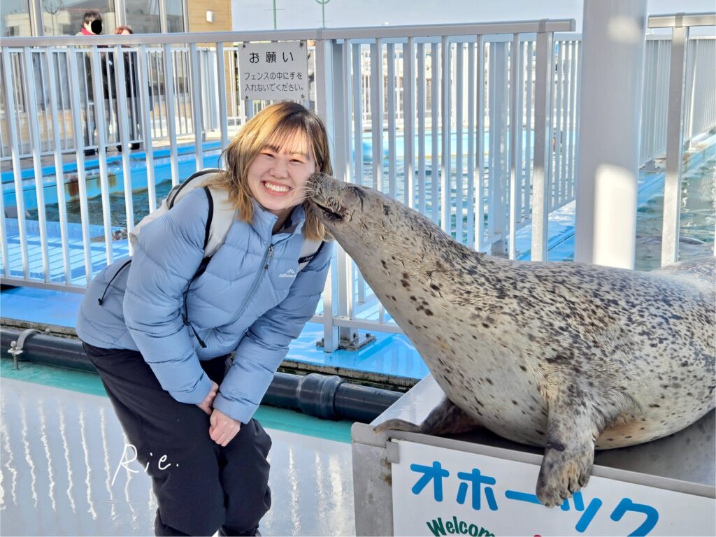 アザラシさんにキスしてもらった写真